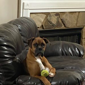 Meet your Posher, Richard